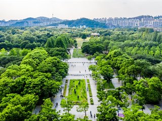 나무와 산책길이 이어진 서울숲 전경